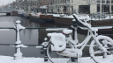 winter_sneeuw-1269-1594